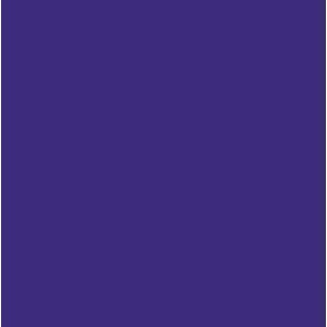 Jacquard Pinata Encre a L'Alcool 1/2 oz Bleu Violet